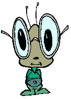 bug
